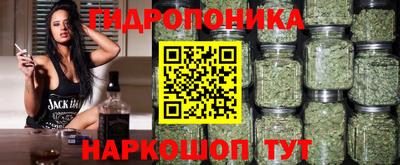 шишки Балаково