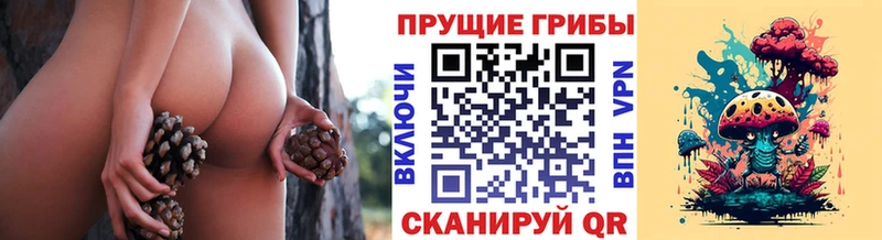 купить наркотик  ссылка на мегу маркетплейс  Псилоцибиновые грибы MAGIC MUSHROOMS  Биробиджан 