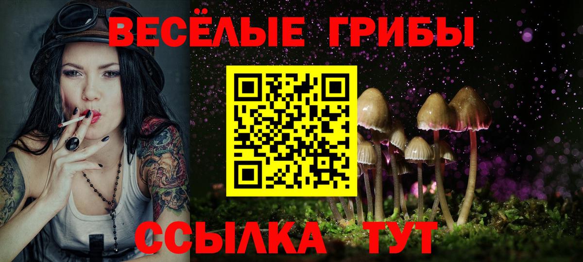 Галлюциногенные грибы GOLDEN TEACHER  Галлюциногенные грибы GOLDEN TEACHER  Биробиджан 