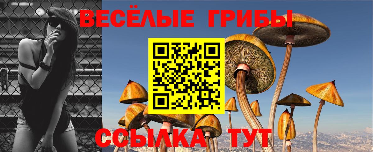 Псилоцибиновые грибы мицелий Биробиджан