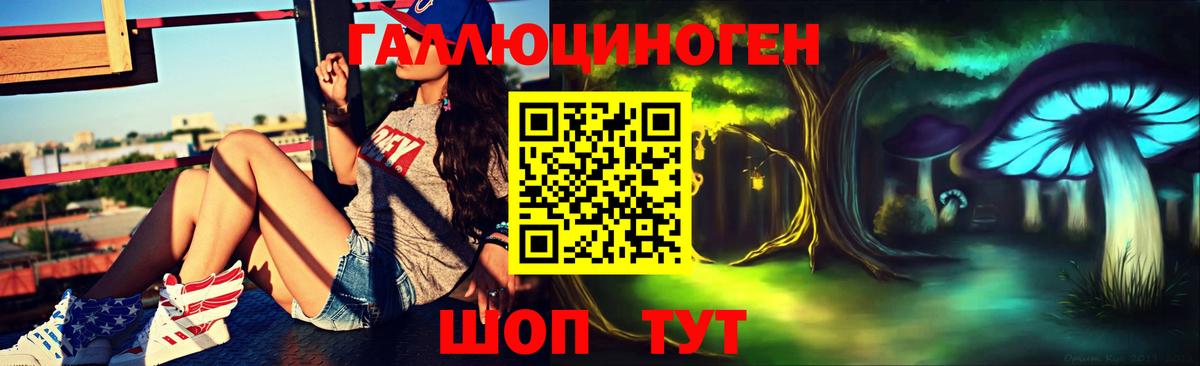 Псилоцибиновые грибы Psilocybe  Вход с VPN  купить наркотики цена  Биробиджан 